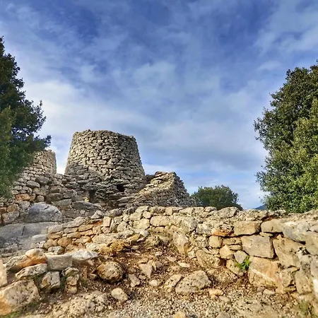 Sangemi * ארבאטקס